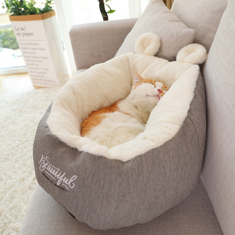 dog bed